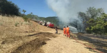Orhangazi Gedik’de Orman Yangınına Müdahale