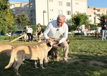 Bursa’da Sahiplendirme Şenliği