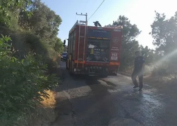 Bursa’da karga yangına neden oldu