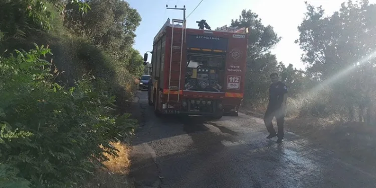 Bursa’da karga yangına neden oldu