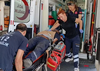 Bursa’da Sahiplendirme Şenliği