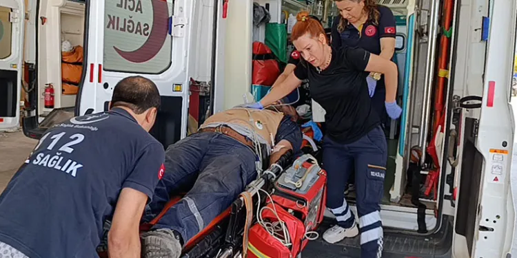 Bursa’da Sahiplendirme Şenliği