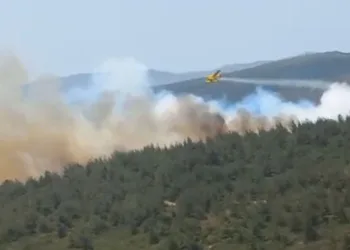 İzmir Foça’da orman yangını