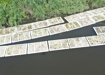 Marmara Denizi’ni besleyen derelerde “Yüzer Ada Projesi”