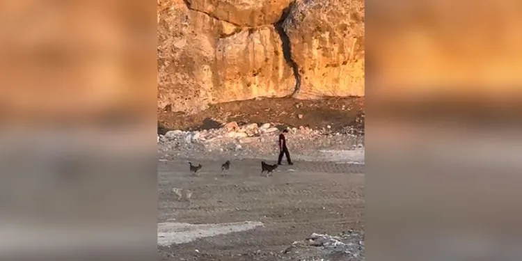 Rusya, gece boyunca Ukrayna’yı vurdu: 5 ölü