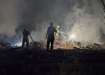 Mudanya’da bağ evi alevlere teslim oldu