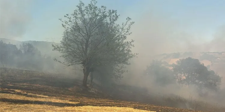 Orhangazi Gedik’de Orman Yangınına Müdahale