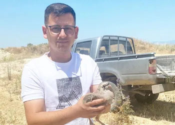 “Tek tek” günde 1200 lira kazanıyorlar