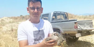 “Tek tek” günde 1200 lira kazanıyorlar