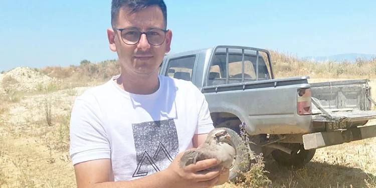 “Tek tek” günde 1200 lira kazanıyorlar