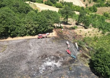 Bursa’da bir tarlada çıkan yangın kontrol altına alındı