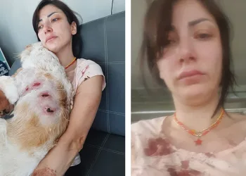 Bursa’da başıboş kangal dehşeti