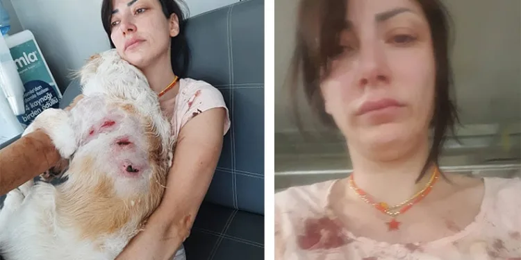 Bursa’da başıboş kangal dehşeti