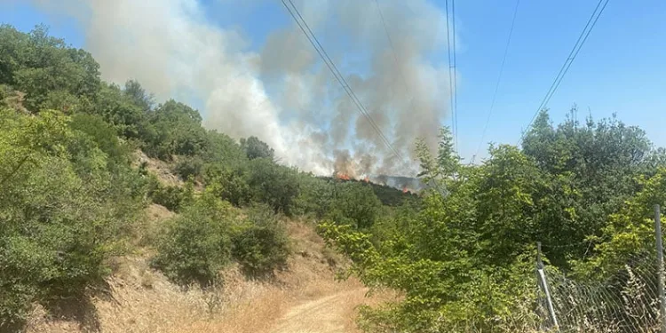 Kestel’de yanan ormanın yanında yeniden yangın başladı