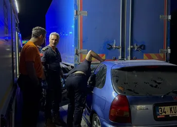 Bursa’da Orman yangınında hayatta kalan kuş böyle kurtarıldı