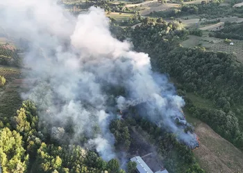 Bursa’da çöplükte çıkan yangın ormana sıçradı