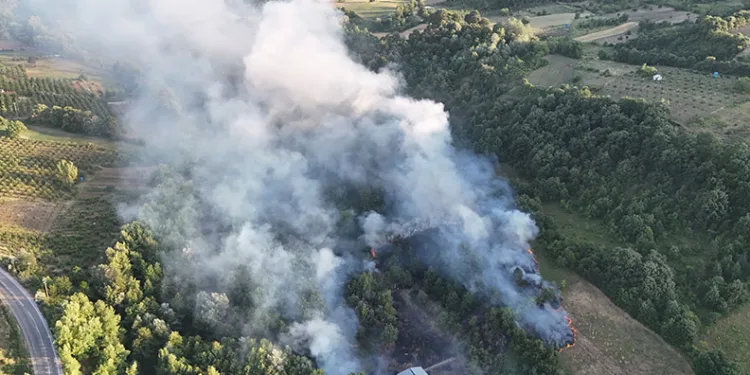 Bursa’da çöplükte çıkan yangın ormana sıçradı
