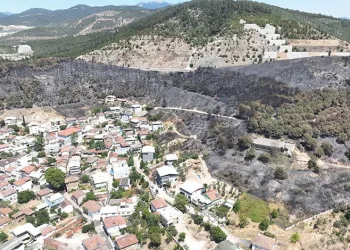 Bursa’da yeşil orman manzaraları kömürlüğe döndü