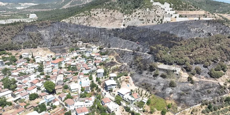 Bursa’da yeşil orman manzaraları kömürlüğe döndü