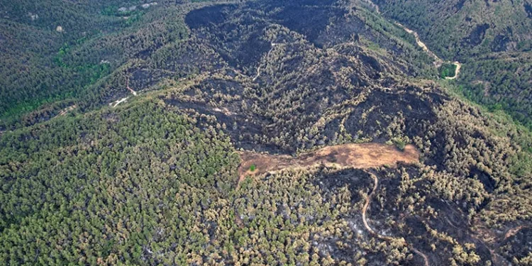 Sakarya’da yanan alanlar havadan da görüntülendi