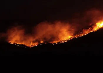 İzmir alevlerle boğuşuyor: 4 köy, 2 mahalle tahliye edildi