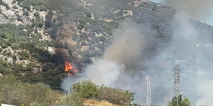 Bodrum’da makilik ve ormanlık alanda yangın çıktı
