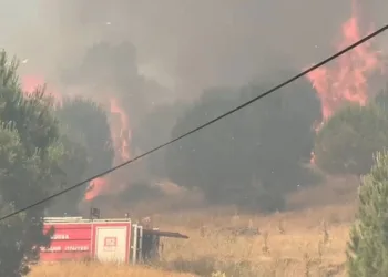 Bursa İznik’te büyük orman yangını