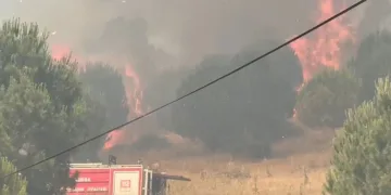 Bursa İznik’te büyük orman yangını