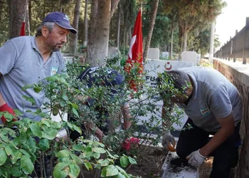 İznik’te mezarlıklar çiçek açıyor