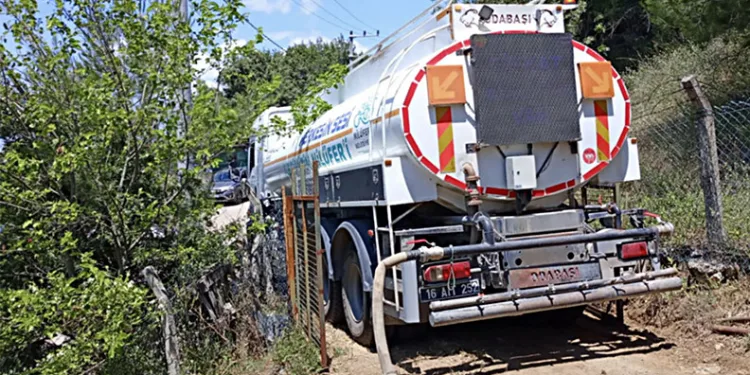 Dağyenice’de 25 dönüm küle döndü