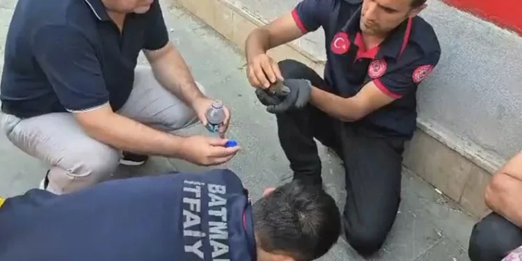 Akhisar’da başlayan orman yangınına müdahale devam ediyor