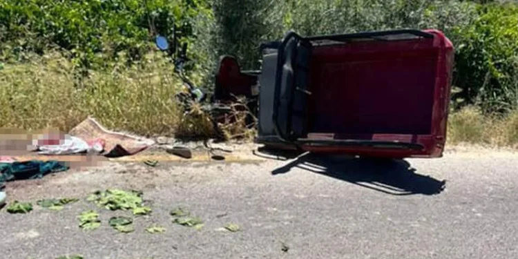 İzmir’de yangınla mücadele sürüyor