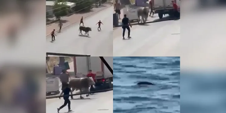 Rusya’dan Harkov’a savaşın başından bu yana en yoğun saldırı: 3 ölü, 21 yaralı