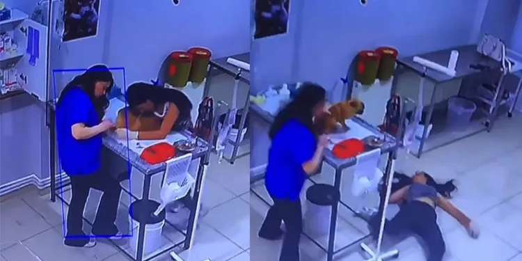 Bursa’da veteriner kliniğinde köpeğini tedavi ettiren kadın bayıldı