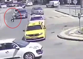 Yangından kurtarılan köpekler böyle görüntülendi