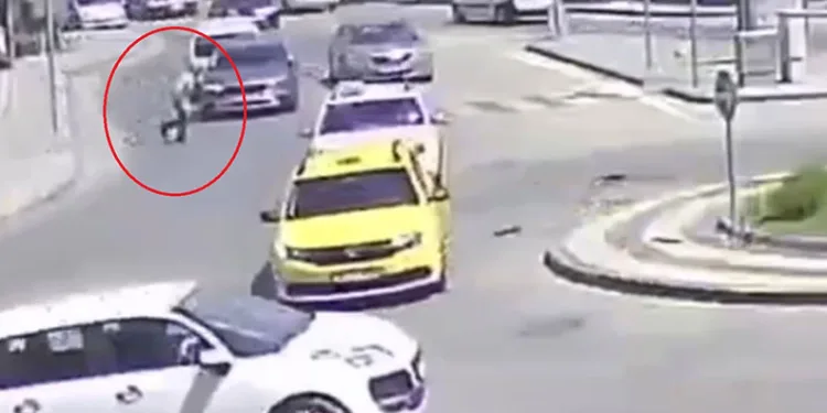 Yangından kurtarılan köpekler böyle görüntülendi