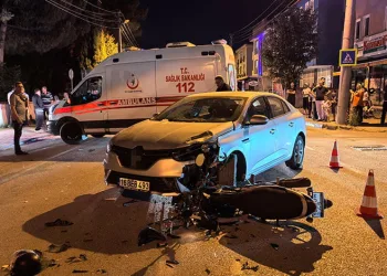 Bursa’da Orman yangınında hayatta kalan kuş böyle kurtarıldı