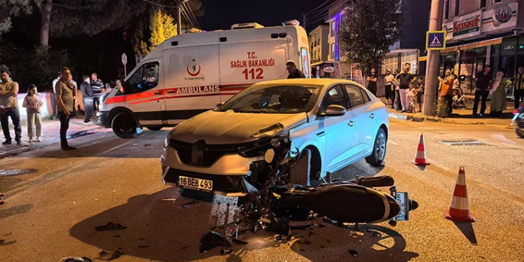 Bursa’da Orman yangınında hayatta kalan kuş böyle kurtarıldı