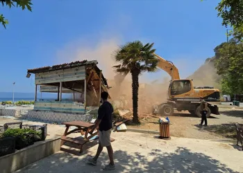 Bursa’da tarlada başlayan yangın, 2 aracı küle çevirdi