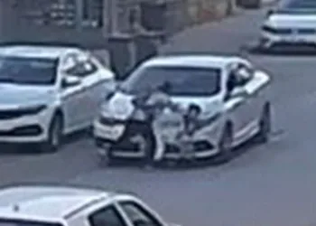 Bursa’da Orman yangınında hayatta kalan kuş böyle kurtarıldı