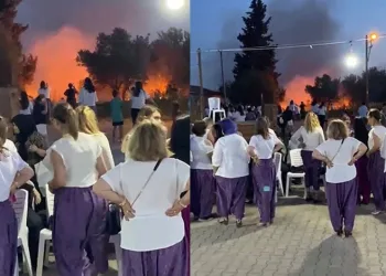 Bursa’da Orman yangınında hayatta kalan kuş böyle kurtarıldı
