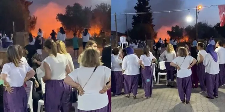 Bursa’da Orman yangınında hayatta kalan kuş böyle kurtarıldı