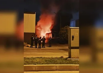 Bursa’da başıboş kangal dehşeti