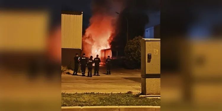 Bursa’da başıboş kangal dehşeti