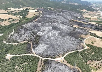 Bir aylık bebek beşiğinde ölü bulundu