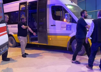 Bursa’da Orman yangınında hayatta kalan kuş böyle kurtarıldı