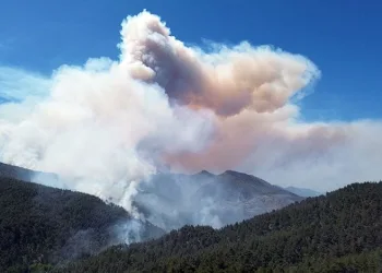 Sakarya’da büyük orman yangını