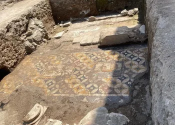 Arkeologlar İznik’te ortaya çıkan dev mozaiğin motiflerini araştırıyor