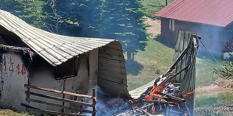 Başkan Zeyrek’in avukatından açıklama