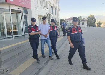 Bursa’da Orman yangınında hayatta kalan kuş böyle kurtarıldı